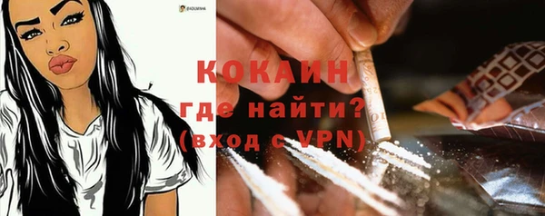 МДПВ Инсар
