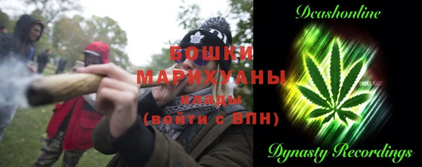 МДПВ Инсар