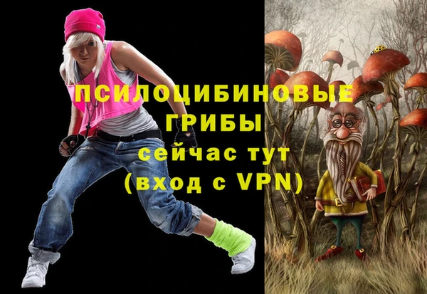 метадон Инта