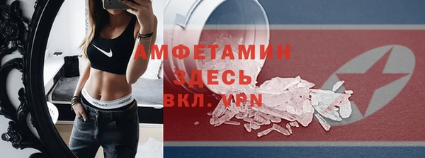 МДПВ Инсар