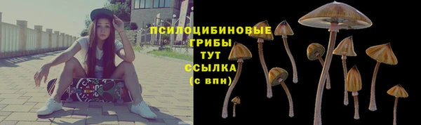 метадон Инта