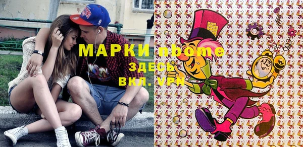 МДПВ Инсар