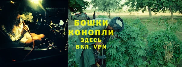 метадон Инта