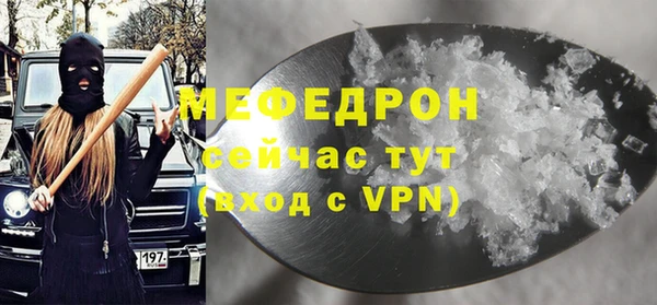 МДПВ Инсар