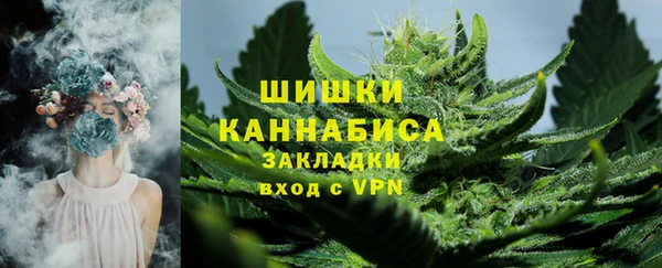 метадон Инта