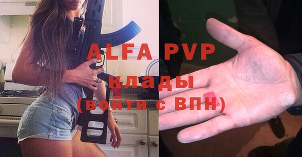 МДПВ Инсар
