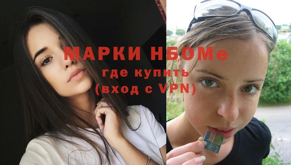 МДПВ Инсар