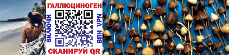 Псилоцибиновые грибы Cubensis  Купить где  Ворсма 